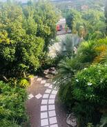 Nassau Hotel | Boutique Hotel