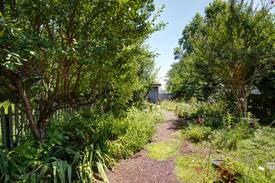 Chestertown Cabin | Mill Street Cottage