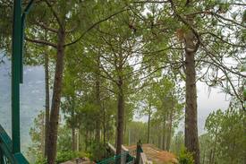 Kasauli Apartment | 6 Bedroom enchanting Apts | Lawn | Bonfire | Staff