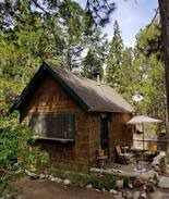 Idyllwild Cabin | Tiny Mountain Cabin under the pines. Dogs ok.