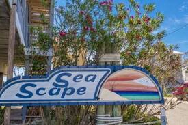 Ono Island Other | Orange Beach, AL, SeaScape 101, Beach Life