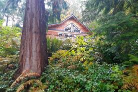 Tuwanek Cabin | A cabin in the woods