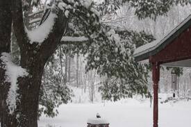 High Falls House | Cozy, Spacious Country Home - All Seasons