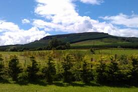 North Tipperary Cabin | Private rural 2 bedroom cottage, County Tipperary