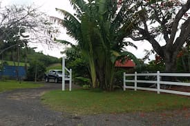 Riviere-Salee House | Maison créole bois avec jardin
