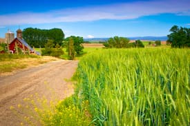 Walla Walla House | Armstrong Vineyard Cottage