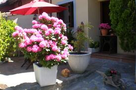 Sorripas House | CASA MERCHE SORRIPAS