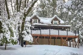 Kyburz Cabin | The Secret Sanctum - A Forest Cabin Near Tahoe