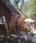 Idyllwild Cabin | Tiny Mountain Cabin under the pines. Dogs ok.
