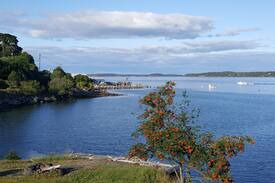 Eastport House | Eastport Home with a view "The Cove"