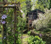 Harpers Ferry House | Retro Tiny Cabin in the Trees | Camp Hike-n-Bike