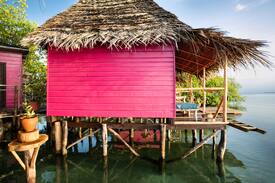 Punta Laurel Other | Urraca Private Island Eco-Lodge