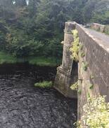 Ayr Bed & Breakfast | Ayr retreat the knowe@Auchincruive estate Ardesia