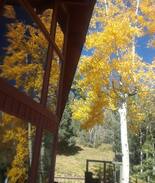 Evergreen Cabin | Evergreen Mountain Ranch Welcome Home To Paradise