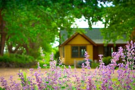 Walla Walla House | Armstrong Vineyard Cottage