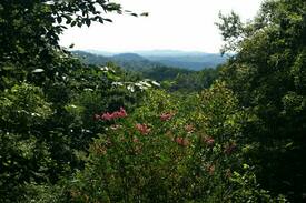 Byrdstown House | Mountain View, Star Point Village, Must see home
