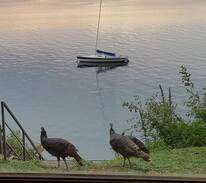 Waunakee House | Private guest suite on beautiful Lake Mendota