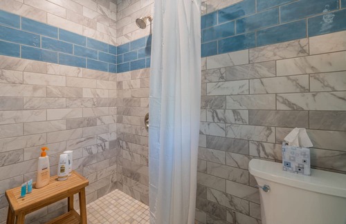 Blenman-Elm House | Pool AC Near UofA and hospital. Quiet, historical neighborhood. Upgraded