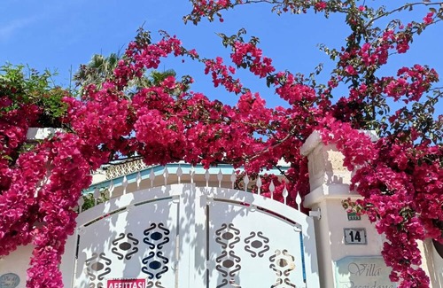 Torre Chianca Apartment | Apartment For 2 - 4 People Just 100m From the Sandy Sea