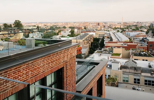 Adams Morgan House | Pet-Friendly Oasis, Arts & Comfort, DC Retreat for All, 4 Relaxing Units!