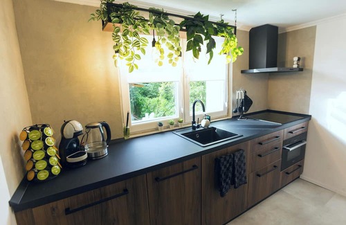Hajduszoboszlo House | Luxury vacation home with hot tub and garden. Rural location - Pet friendly!