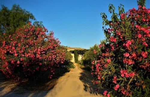 Buseto Palizzolo Villa | Villa in the countryside Anasté