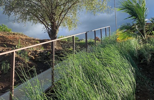 Esparza House | Connecting with nature
