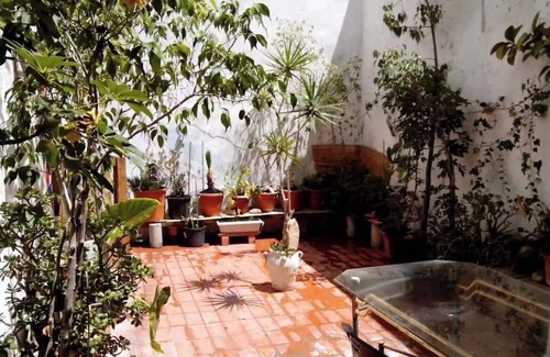 Campoamor Apartment | Ground floor with patio next to the Auditorium (ADDA)
