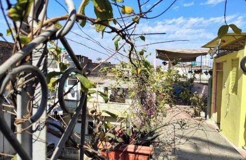 Pink City Apartment | Ali Baba Hostel -Deluxe Double Room