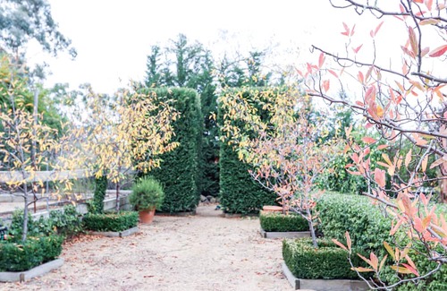Cooma House | Montague Cottage - Your Cosy Snowy Mountains Family Retreat. Dog Friendly!