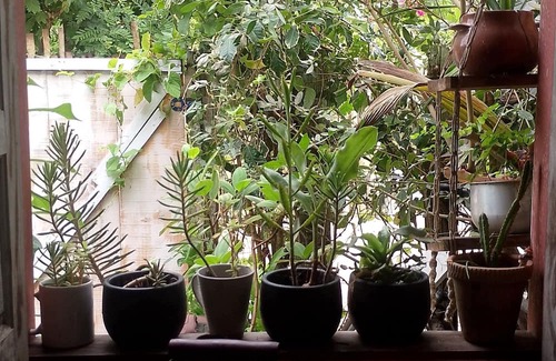 Caraiva Apartment | Sea View Studio in Caraíva Bahia - 2 minutes from the Church Square
