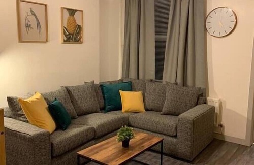 Castle Apartment | The Great North Hill - Swansea City Centre