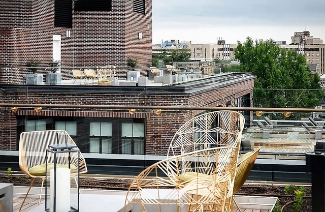 Pet-Friendly Oasis, Arts & Comfort, DC Retreat for All, 4 Relaxing Units!