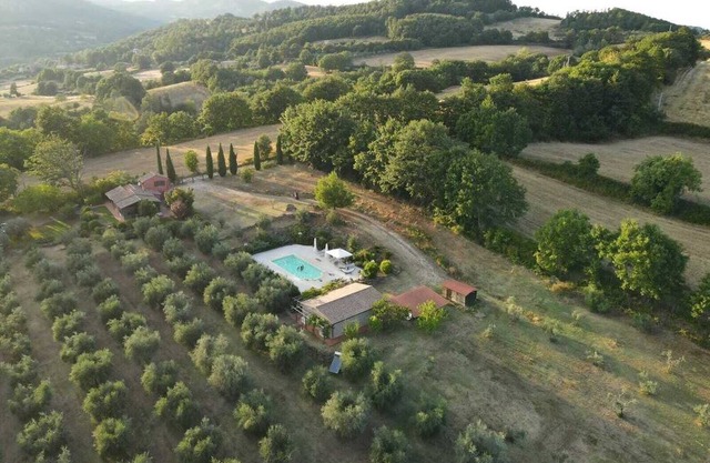 Among olive trees and silence: farmhouse with pool and olive grove in the Etruscan Maremma