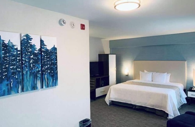 Hotel Chandni Victoria - King Room