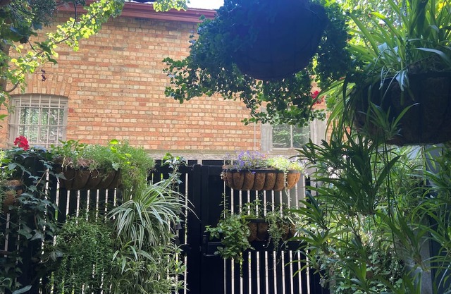 Quiet Urban Oasis. Central to both City and Parkland. Easy Ground floor access