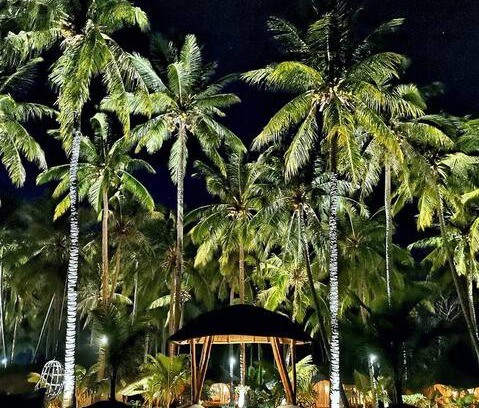 Wodong House | Coconut Beach Maumere 6 adult