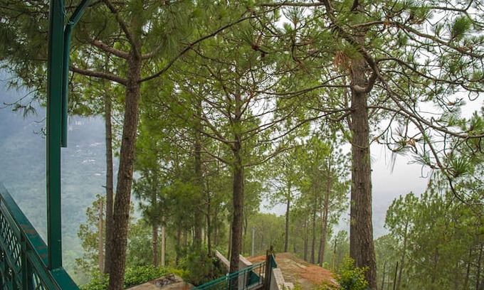 Kasauli Apartment | 6 Bedroom enchanting Apts | Lawn | Bonfire | Staff