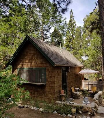 Idyllwild Cabin | Tiny Mountain Cabin under the pines. Dogs ok.