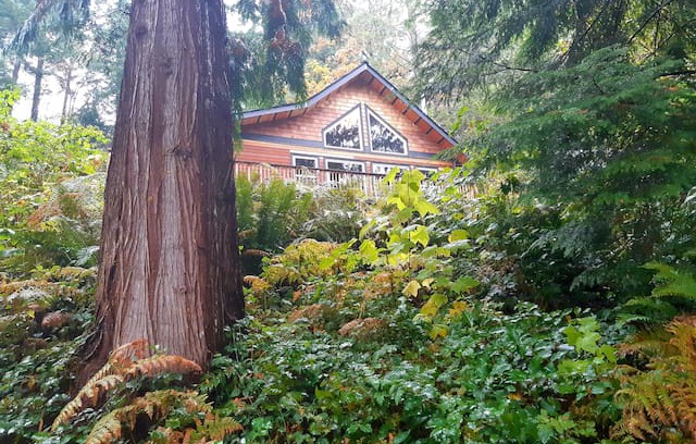 Tuwanek Cabin | A cabin in the woods