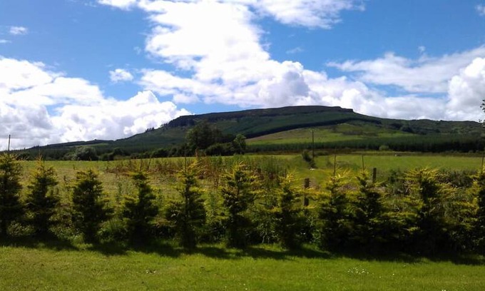 North Tipperary Cabin | Private rural 2 bedroom cottage, County Tipperary