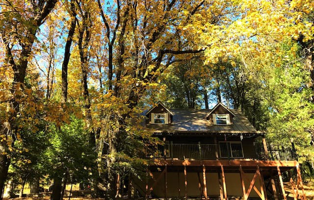 Kyburz Cabin | The Secret Sanctum - A Forest Cabin Near Tahoe