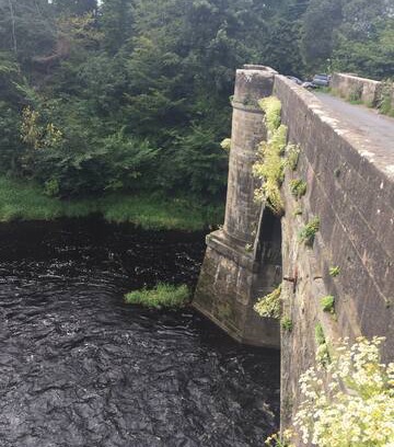 Ayr Bed & Breakfast | Ayr retreat the knowe@Auchincruive estate Ardesia