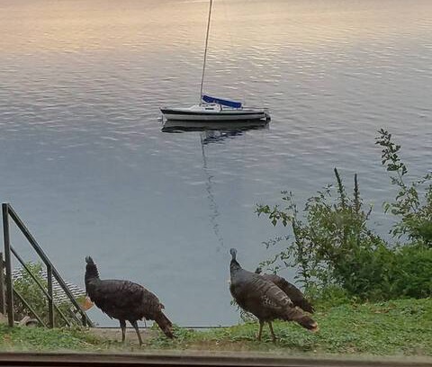 Waunakee House | Private guest suite on beautiful Lake Mendota
