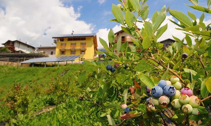 Castel Ivano Bed & Breakfast | B&B Tomaselli
