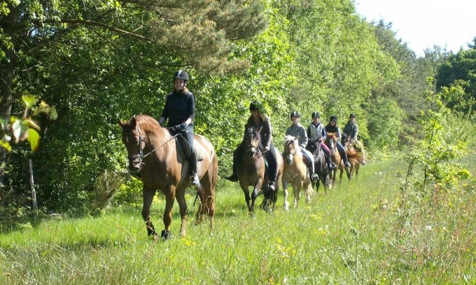 Holtgast Apartment | Wohnung 4 auf dem Ferienhof Eilts -viele Ponys und Sonstige Tiere in Nordseenähe