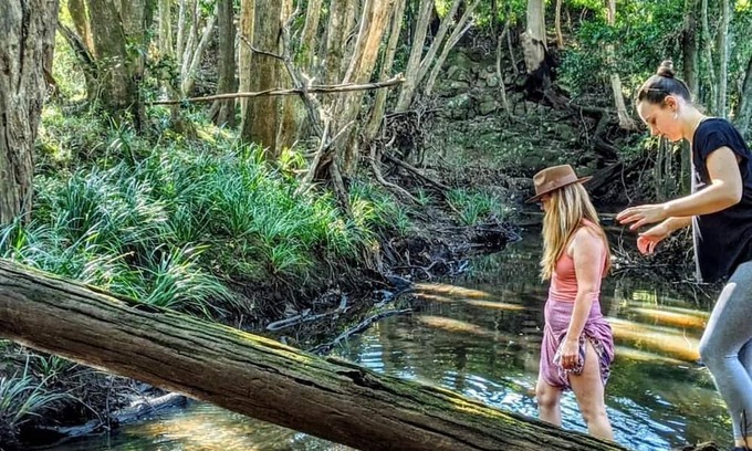 Bunyah Bed & Breakfast | Forest Creek Retreat - Double Room with Garden View