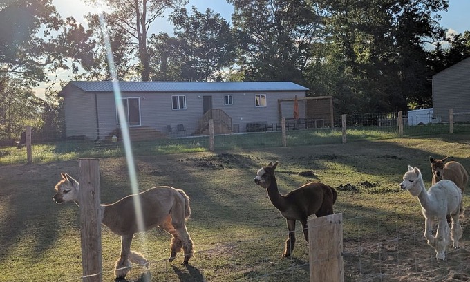 Courtland Other | Alpaca Farm Retreat – Cozy 2BR Stay on Kloud 9 Haven, Near Beach & Wineries